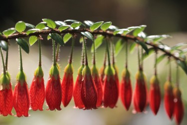 中山港口私人快速借钱网，轻松解决资金难题