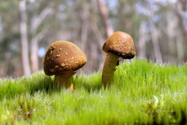 中山港口私人老板放款：轻松融资的秘密通道